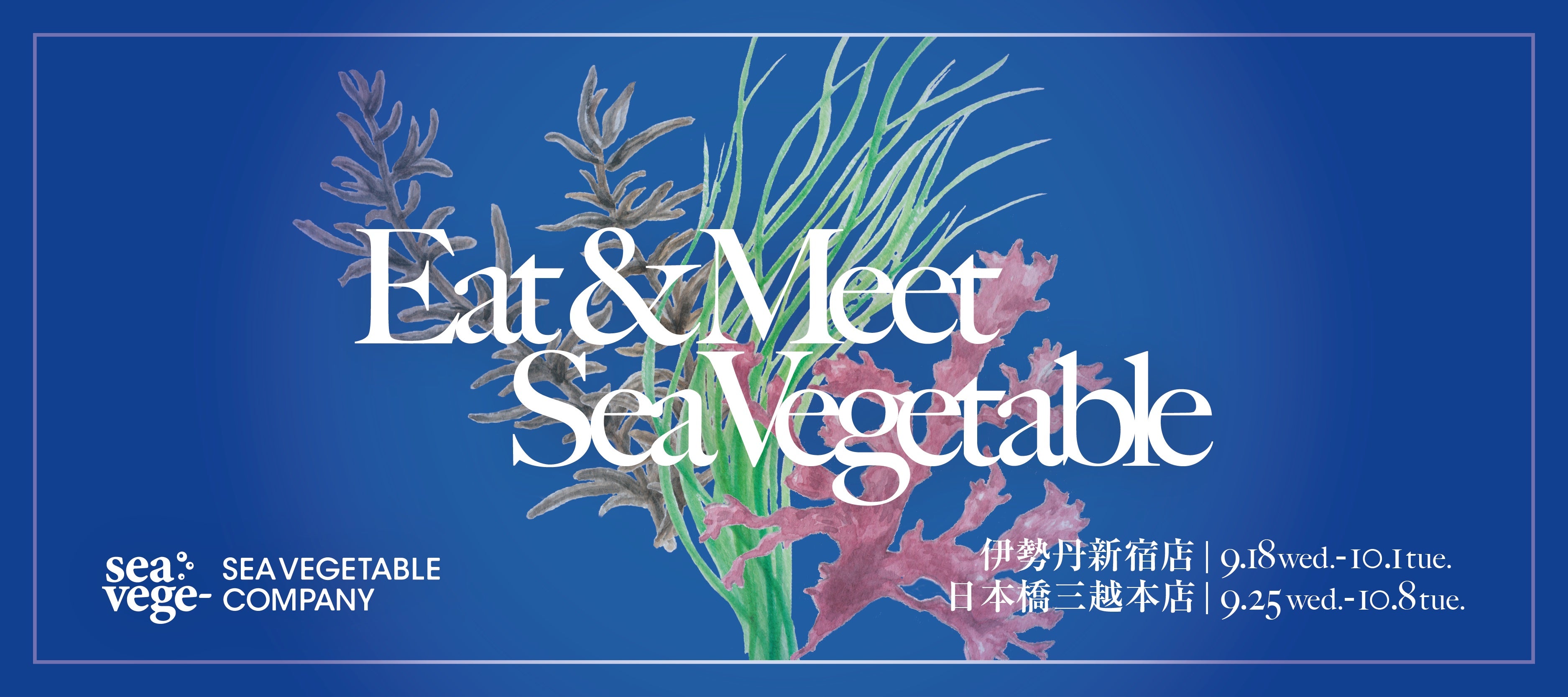 三越伊勢丹 特別イベント【EAT & MEET SEA VEGETABLE】 – SEA