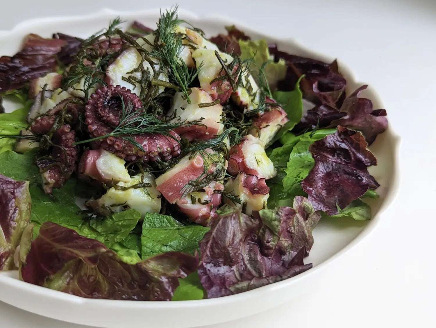 Hijiki and Octopus Marine Salad / Sea Vegetable Seaweed Recipe – SEA VEGETABLE COMPANY