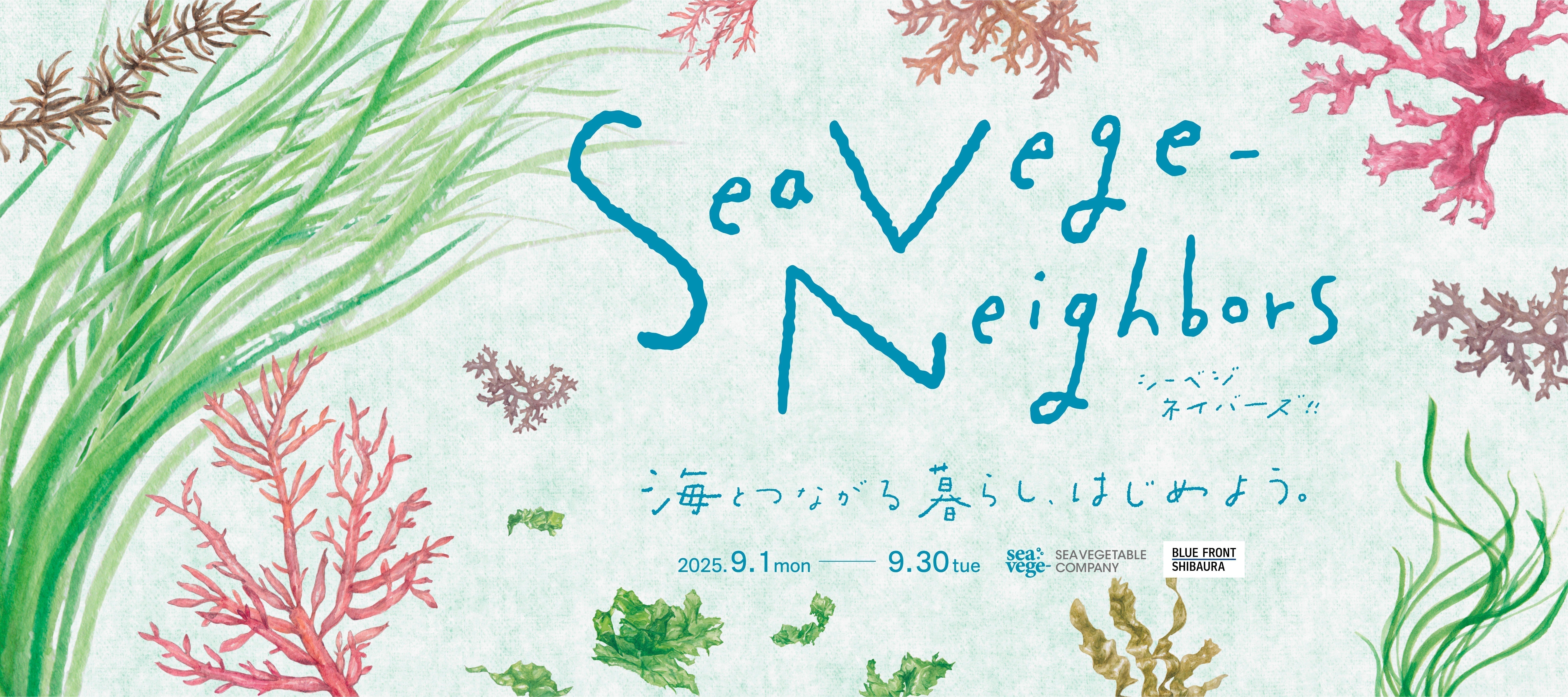 藻ページ 海とつながる暮らし、はじめよう。野村不動産の新拠点「BLUE FRONT