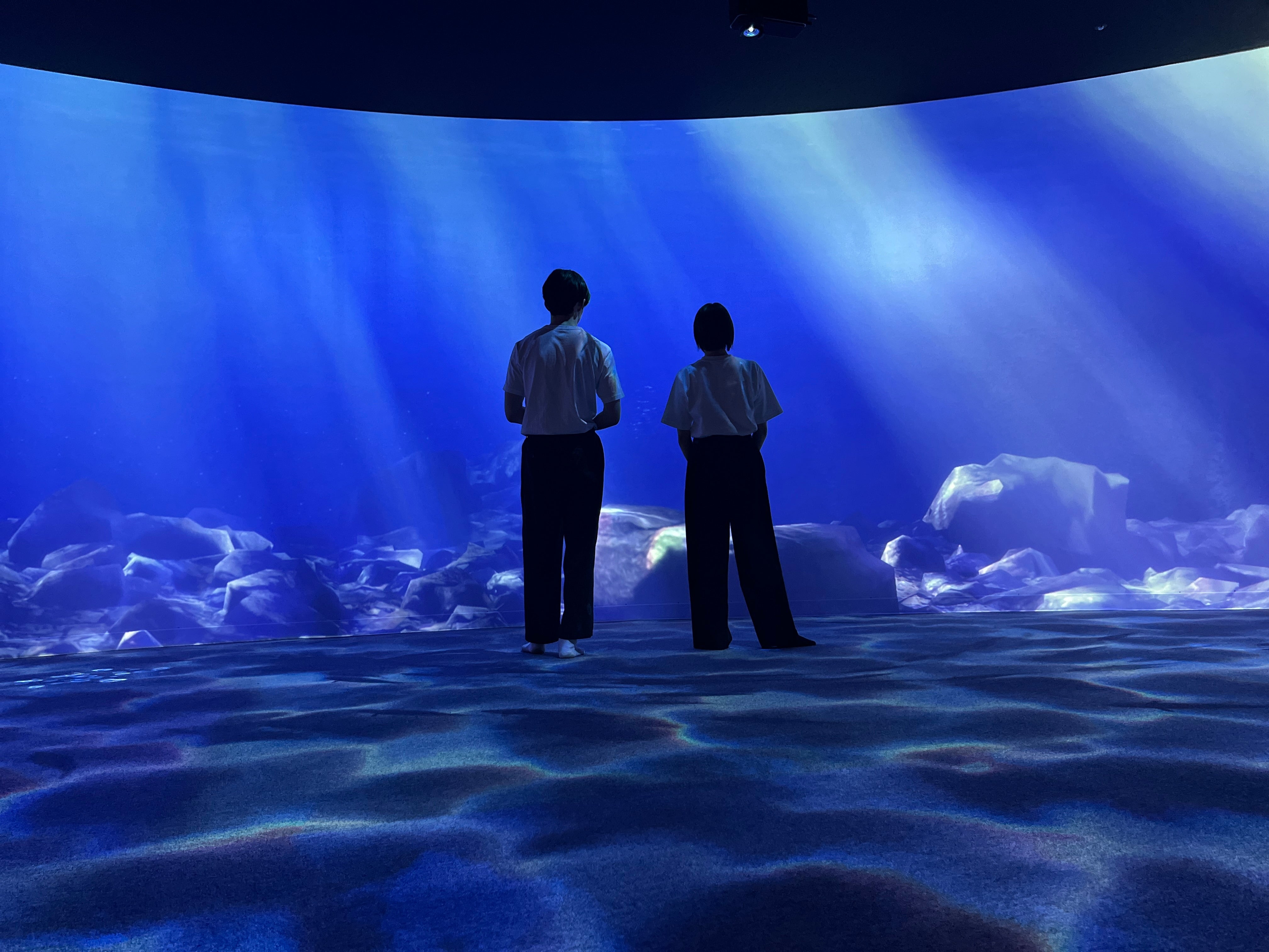 Grand Opening: AOAO SAPPORO Urban Aquarium – SEA VEGETABLE COMPANY