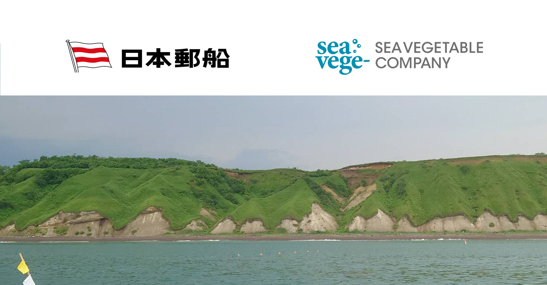 海藻の力で、海の未来を耕す。 秋田県男鹿市で“養殖藻場”の実証実験を