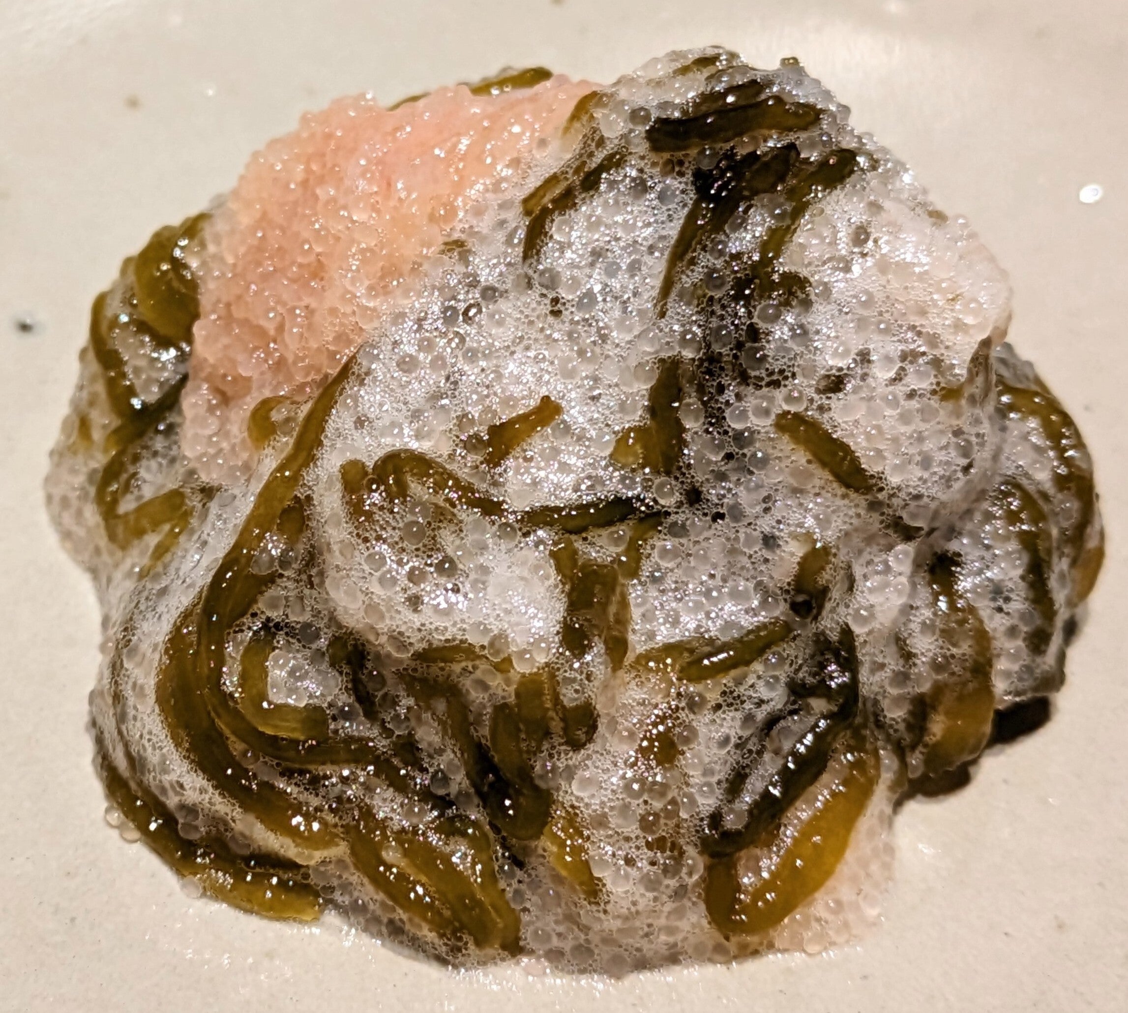 もずく明太 / シーベジタブル海藻レシピ SEA VEGETABLE COMPANY