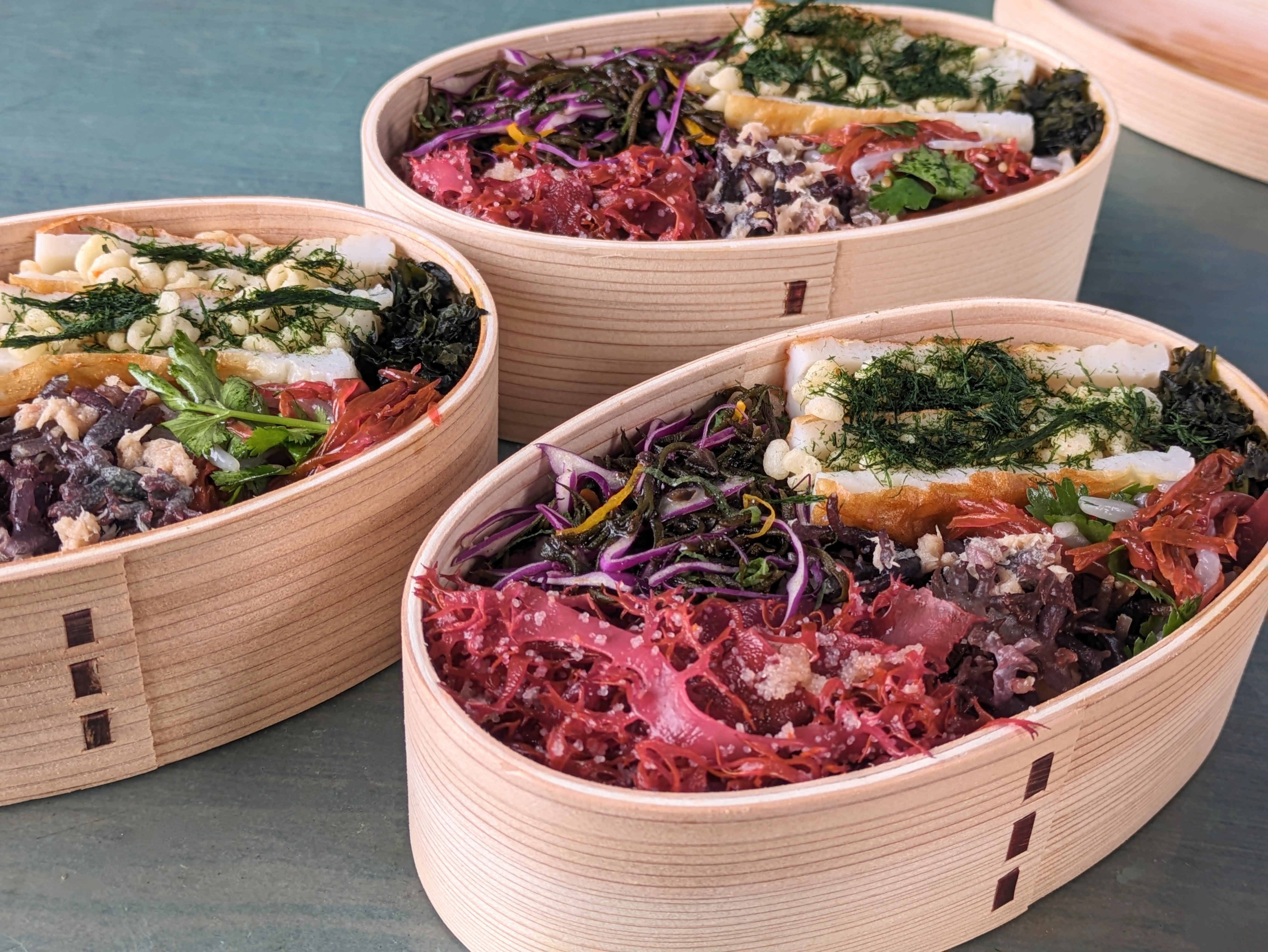 Sea Vegetable Joins ZEBRAHOOD 2024 with Limited Edition Seaweed Bento