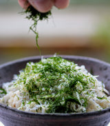 シーベジタブルのすじ青のり【粉末】