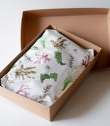 海藻ギフトボックス(中)