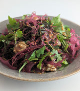 シーベジタブルのとさかのり