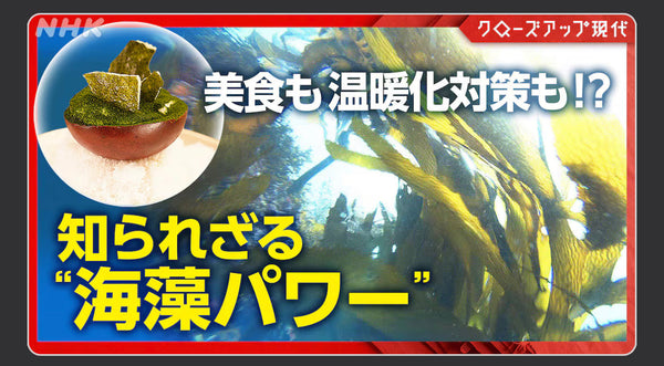 9月3日(水)放送のNHK「クローズアップ現代」にて、シーベジタブルの取り組みをご紹介