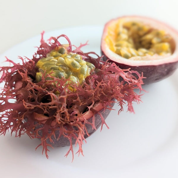 PXL_20230608_221242355.