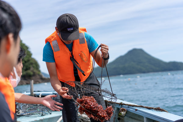 海藻の「研究と生産」