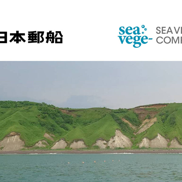 海藻の力で、海の未来を耕す。 秋田県男鹿市で“養殖藻場”の実証実験を