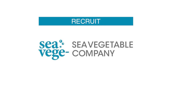 【採用イベント】11月5日｜SEA VEGETABLE Meetup 開催
