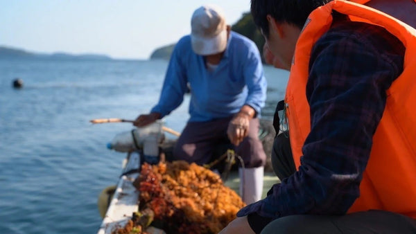 2024年4月 海藻フィールドワークを開催 – SEA VEGETABLE COMPANY