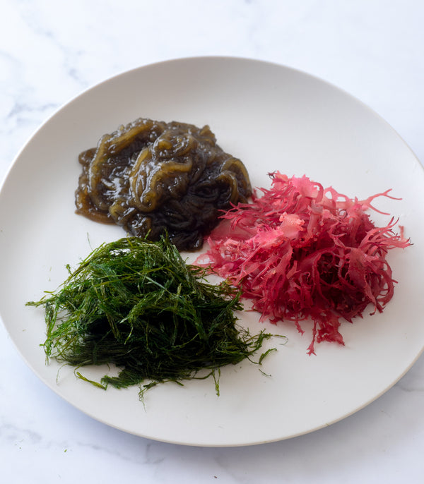 送料込】厳選海藻3種セット／シーベジタブル – SEA VEGETABLE COMPANY