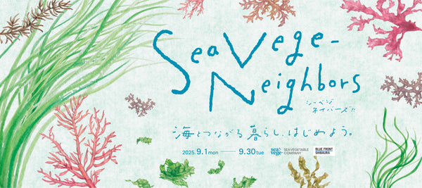 海藻セットとジュズフサノリ（小） 海藻セットとジュズフサノリ（小） 国産海藻サラダ 乾燥50g