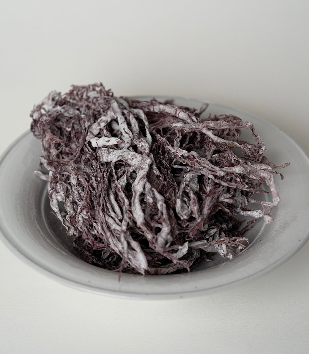 プレミアム サラダ海藻シリーズ – SEA VEGETABLE COMPANY