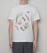 オリジナル海藻Tシャツ