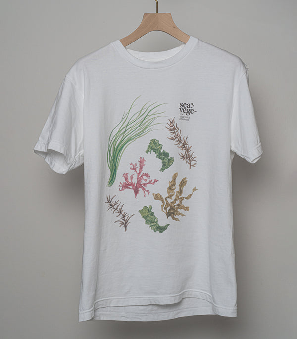 オリジナル海藻Tシャツ