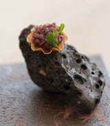 【予約専用】Open Kitchen by SEAVEGE- Kitchen Lab