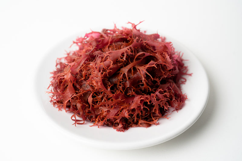 シーベジタブルの海藻 – SEA VEGETABLE COMPANY