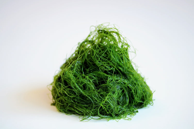 シーベジタブルの「すじ青のり」をもっと知る – SEA VEGETABLE COMPANY