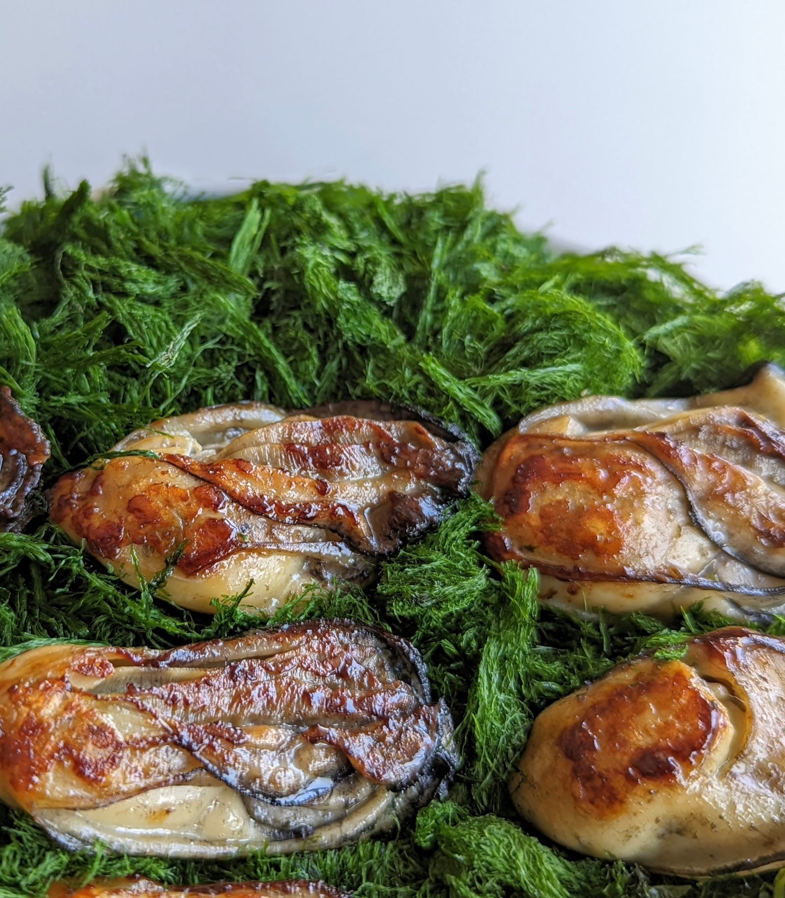 苔之助ページ シーベジタブルのすじ青のり 原藻 – SEA VEGETABLE COMPANY