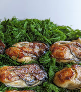 Sea Vegetable Suji Aonori [Whole Form / 10g]