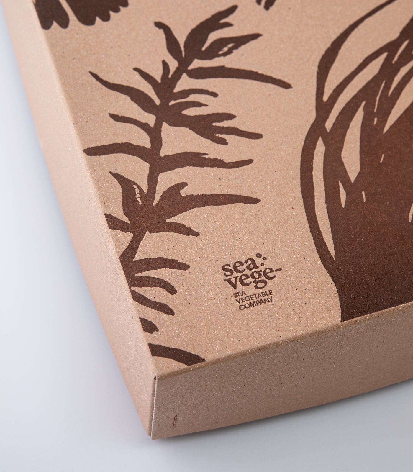 海藻ギフトボックス コラボセレクト（中） / シーベジタブル – SEA