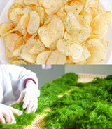 期間限定｜菊水堂『できたてポテトチップ シーベジタブル』120g×6袋