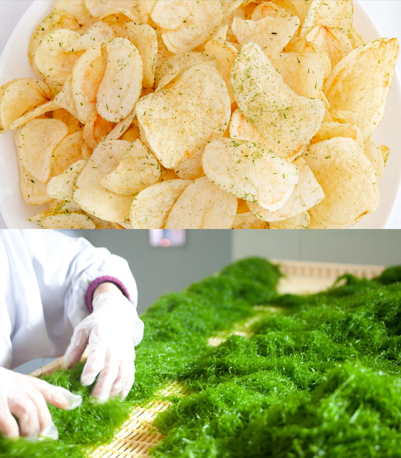期間限定｜菊水堂『できたてポテトチップ シーベジタブル』120g×6袋