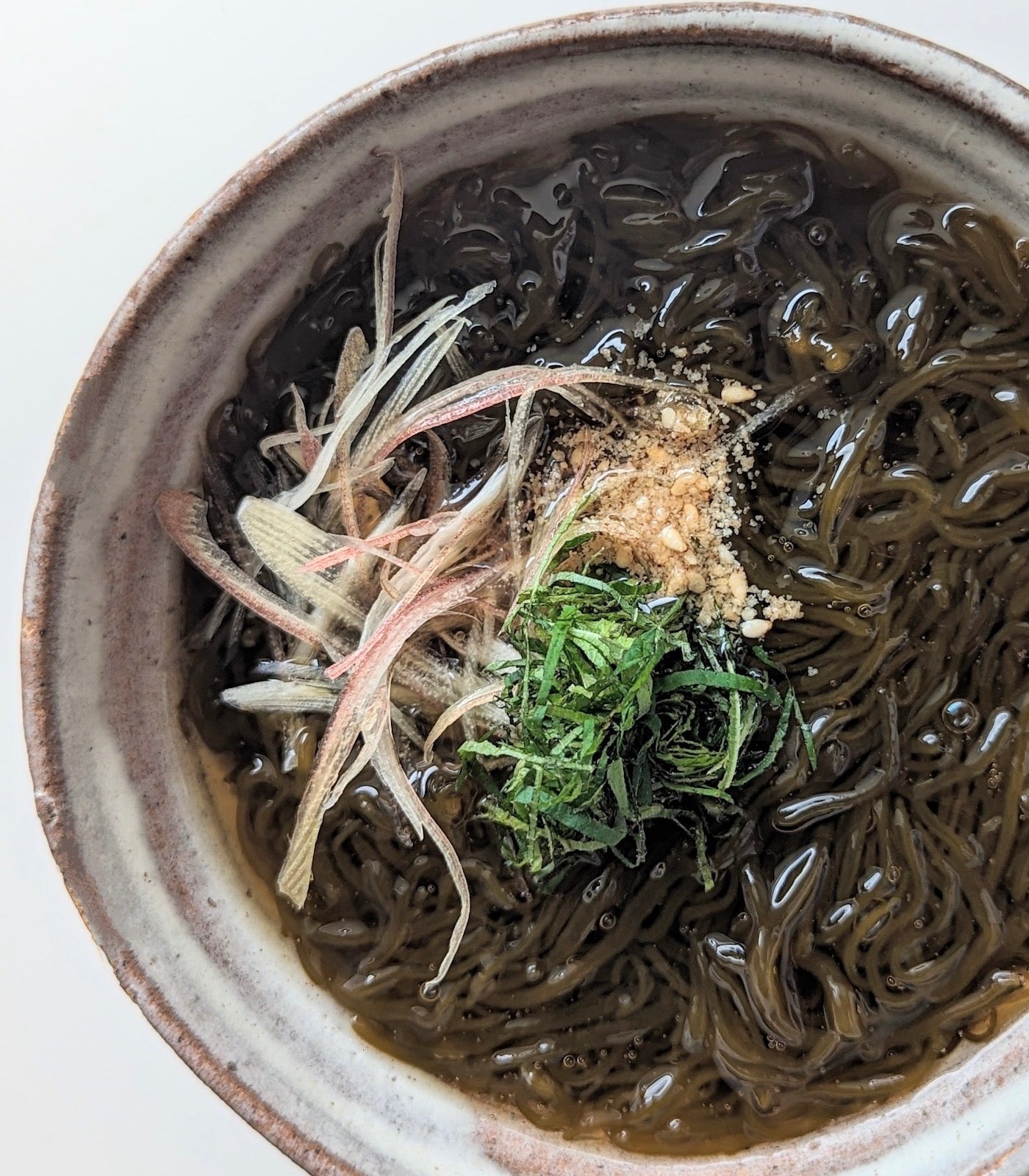 シーベジタブルのもずく -2025年収穫- – SEA VEGETABLE COMPANY