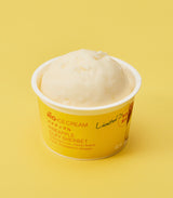 【夏季限定商品】アイスクリームセット｜HiO ICE CREAM