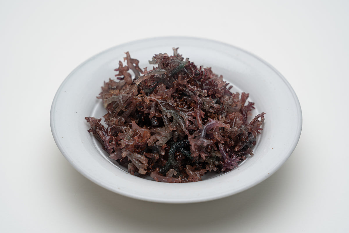 The seaweeds of SEA VEGETABLE – SEA VEGETABLE COMPANY